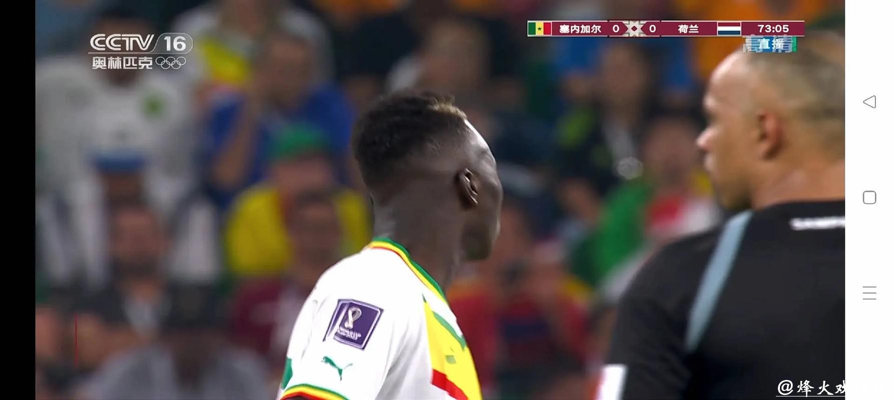 世界杯直播与社交媒体互动，热议赛事焦点