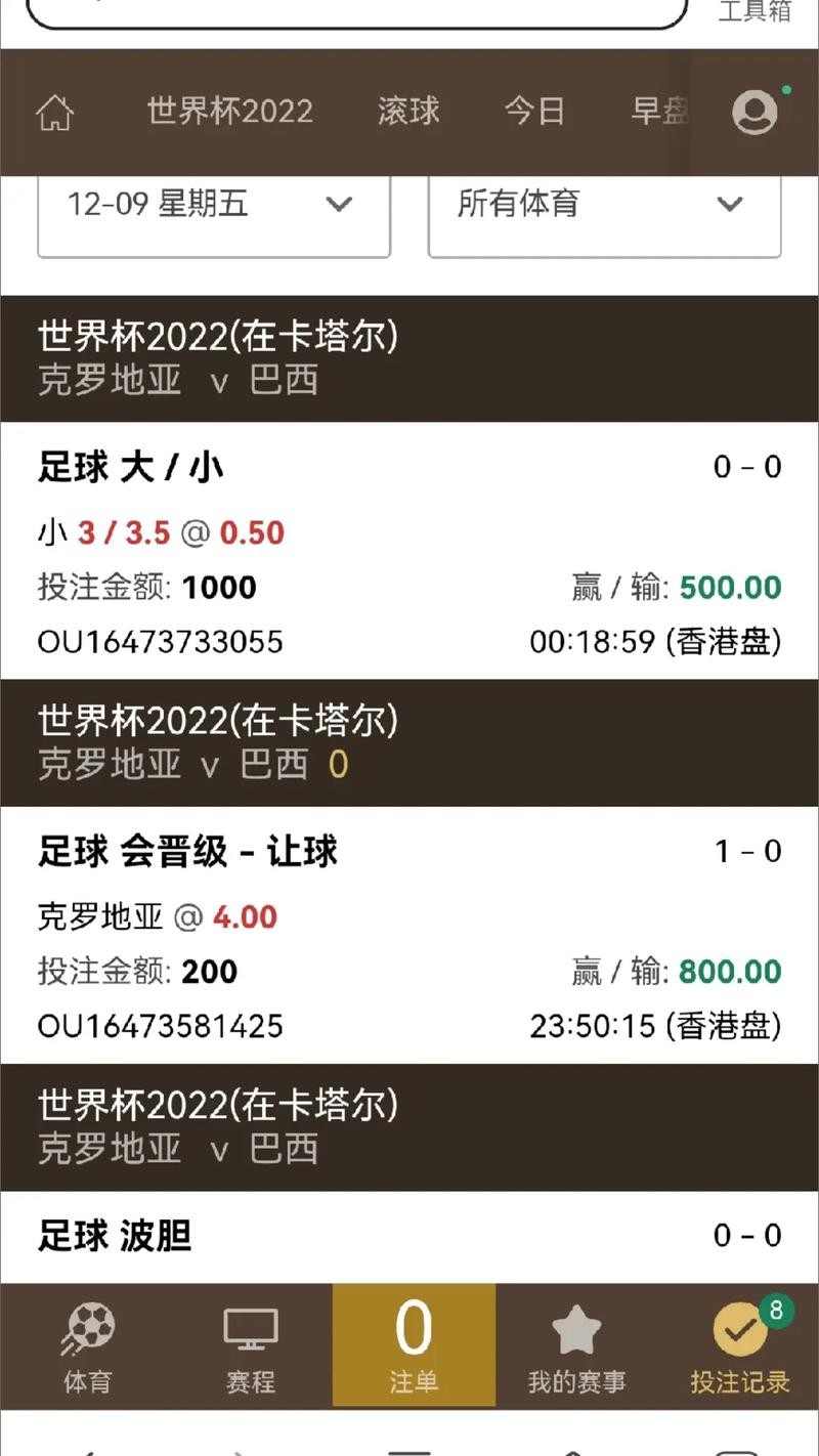 世界杯下注平台：支持盈利稳定提现的平台